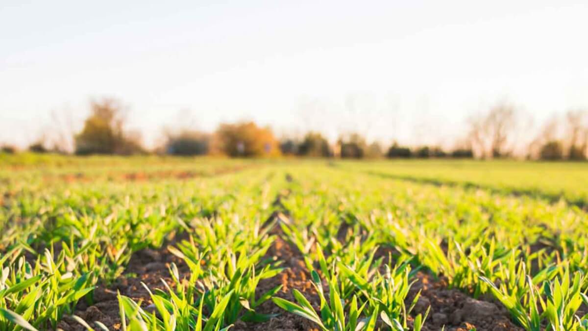 ZERYA lanza su nuevo Hub digital para usuarios certificados y operadores registrados (1).jpg